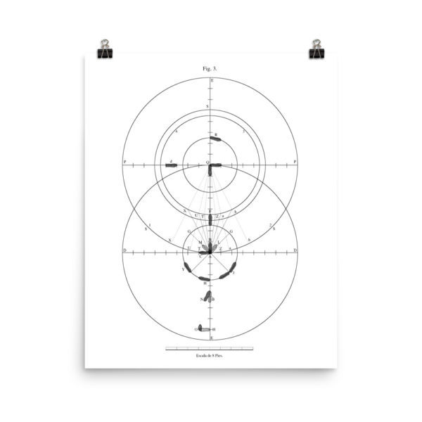 Frias: Figure 3 Poster - Image 9