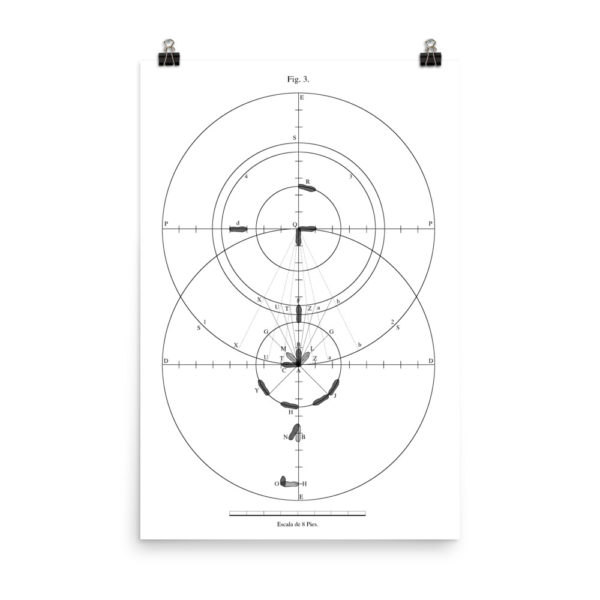 Frias: Figure 3 Poster - Image 11