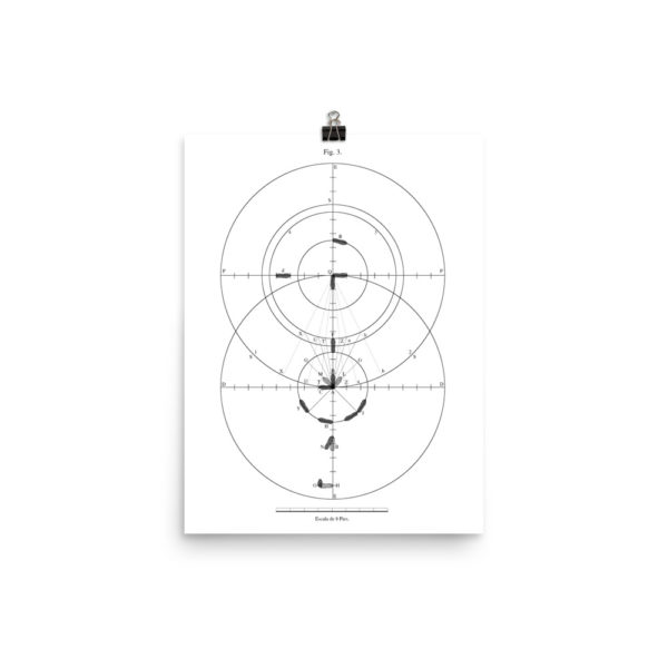 Frias: Figure 3 Poster - Image 5