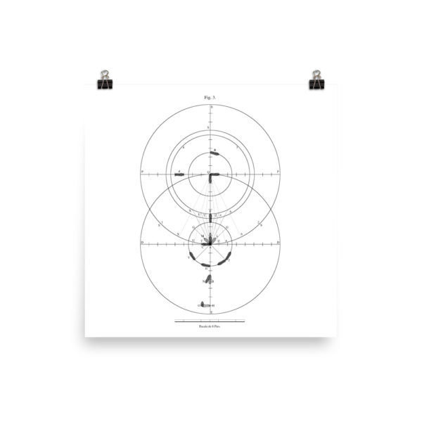 Frias: Figure 3 Poster - Image 10