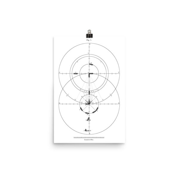 Frias: Figure 3 Poster - Image 7